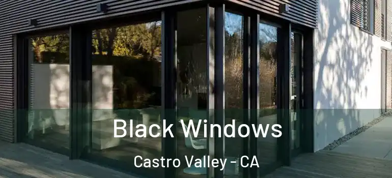  Black Windows Castro Valley - CA