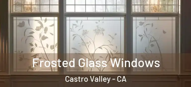  Frosted Glass Windows Castro Valley - CA