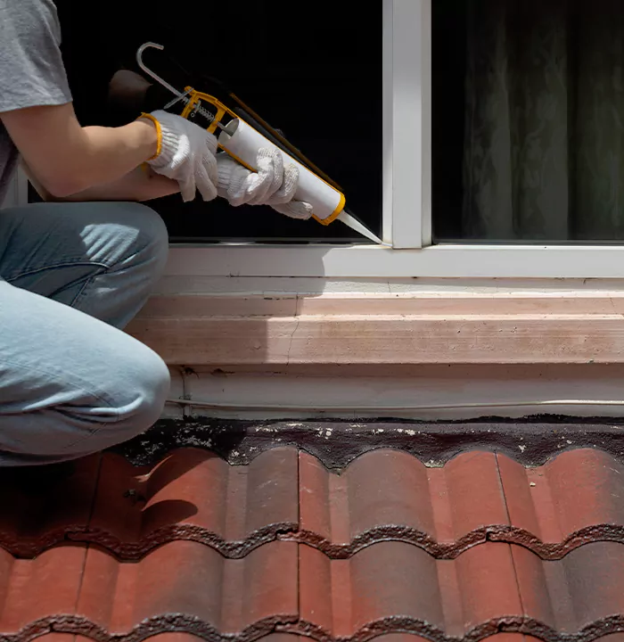 Roof Window Services in Castro Valley, California