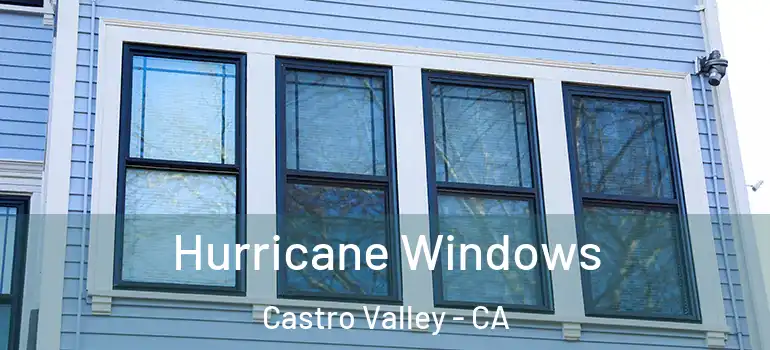  Hurricane Windows Castro Valley - CA