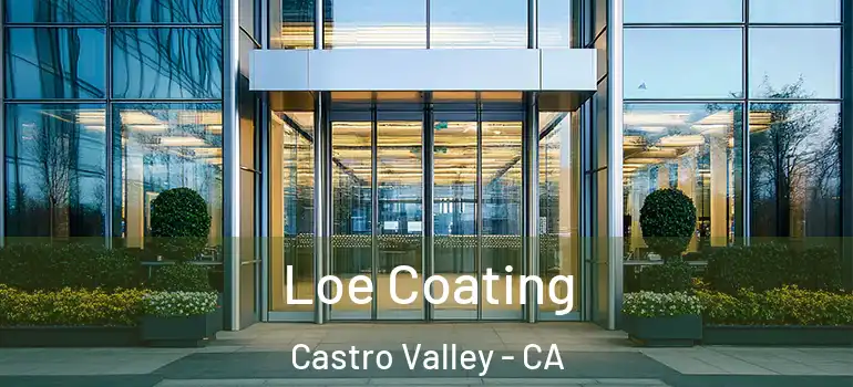  Loe Coating Castro Valley - CA