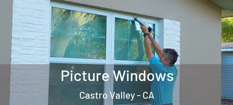  Picture Windows Castro Valley - CA