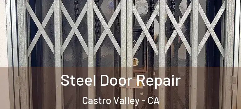  Steel Door Repair Castro Valley - CA