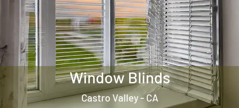  Window Blinds Castro Valley - CA