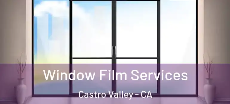  Window Film Services Castro Valley - CA