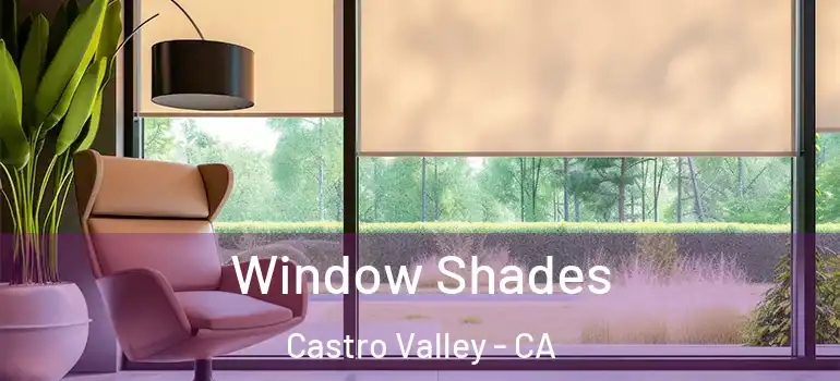  Window Shades Castro Valley - CA