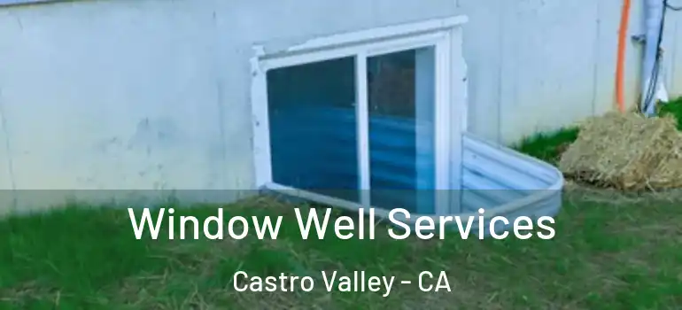  Window Well Services Castro Valley - CA